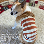 ｼﾙｸﾒﾗﾝｼﾞ ﾜﾝちゃん(超/小型犬)用 ﾛﾝｸﾞﾀｲﾌﾟ 腹巻き ★ﾌﾚﾝﾁﾎﾞｰﾀﾞｰ 刺繍つき S/Mｻｲｽﾞ