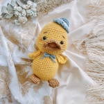 青い帽子👒のアヒルくん