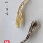 【予知の神使】ナマズの置物