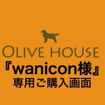 【wanicon様 専用】≪1㎝前後≫モルフォ蝶のピアス／イヤリング(C014)
