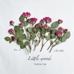 🌸ミニバラlittle woods   ＊ 押し花