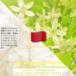 007：モロッカン･ネロリ /Moroccan Neroli　＊香り詳細と商品紹介＊
