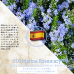 超微粒アロマミスト 200mL お得用 (ルームスプレー) /Aroma Mist