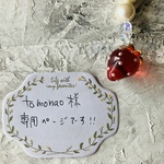 tomonao 様専用ページ
