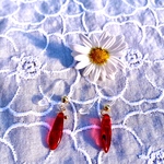 樹脂ピアス　赤いピアス