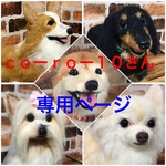 大きいうちの子オーダー