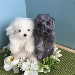 ※kyokonawachuさまオーダー※  おでかけちゃん