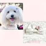 ありすりぼん♡🎀 ホワイト 白 犬 わんこ リボン バレッタ 薔薇 ブライダル 清楚 ペット用 軽い
