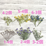 momo様確認用