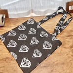 💎団扇の入る肩掛けbag