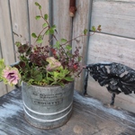 季節の花の寄せ植え　ペチュニア湘南プチヴェルデの小さな花籠②