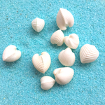 クラムローズ(タマサルボウ)ペア＊10個 セット