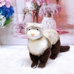 フェレットのチロちゃん