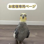 reicoママ専用