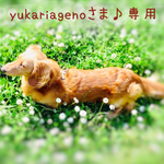 yukariagenoさま♪専用 