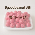 9goodpeanuts様専用ページ