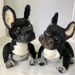 フレンチブルドッグらしき犬