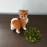 羊毛フエルト…小さな柴犬…まだ子犬