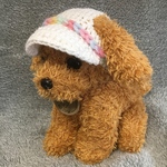 小型犬用帽子🧢サンバイザー🧢夏用帽子