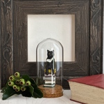 ガラスドーム　黒猫　置物　読書　猫　