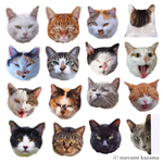 かわいいneko ねこシール4