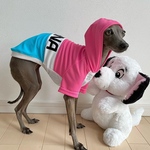 名入れオーダー犬服 遮熱・吸湿速乾UVカット パーカー