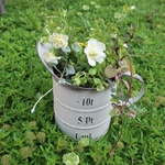 【きらり⭐︎様専用ページ】季節の花の寄せ植え　レモンケーキを焼くアフタヌーン