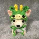 超小型犬用・チワワ用🐲タツの帽子🐲干支の帽子