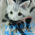 rion0722様専用オーダー手乗りサイズブチ猫ちゃん№347