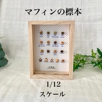 新作　ミニチュア　マフィンの標本 1/12スケール