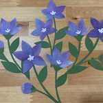 壁面飾り＊季節の花シリーズ【桔梗】8月9月　ききょう