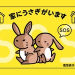 【うさぎさん専用意思表示カード】