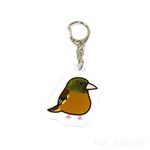 カワラヒワ アクリルキーホルダー 鳥 野鳥 4342