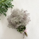 ふわふわスモークツリーのスワッグ（30cm）