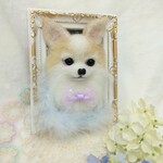 🎀ご予約のお客様専用ページ　チワワ