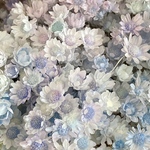 スターフラワーミニ　ブルーパープル　グラデーション　30個　ブルー　パステルカラー　ハーバリウム　レジン