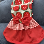 スイカ🍉柄のワンピース