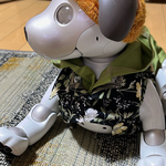 黒の花柄ジャケットと黄緑パーカーシャツ（1点もの）