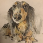 愛犬　愛猫　ご家族似顔絵の絵画