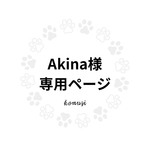 akina様専用購入ページ