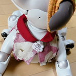 ピンクの花柄布の赤い丸えりプラウス