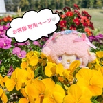 ぷりん様 専用ページ🐠✨