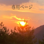 chicabu様専用ページ