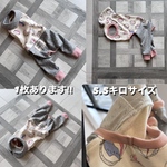 イタグレ　イタグレの服　イタグレ服