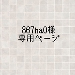 867ha0様専用ページ