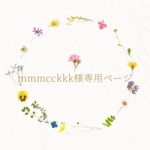 mmmcckkk様専用ページ       自立する⭐ファスナー付きバッグインバッグ  ピンクテラコッタ