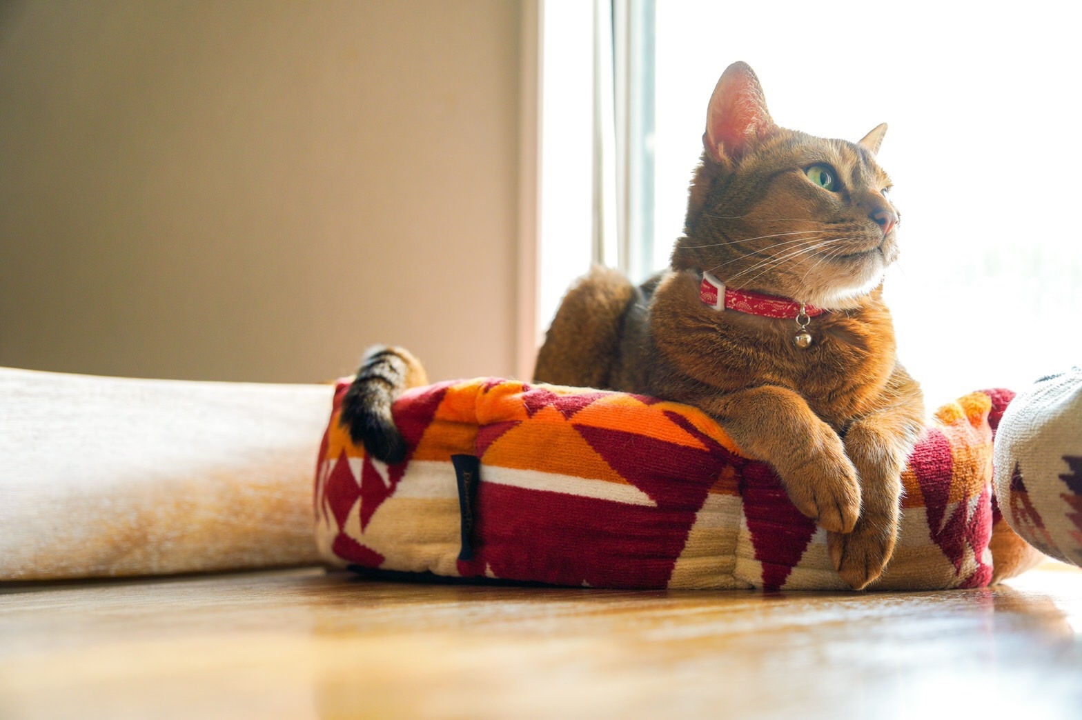 ペットベッド　ハンドメイド448 ペンドルトン　リメイク　猫ベッド　犬ベッド ペットベッド ペンドルトン リメイク 猫ベッド 犬ベッド169
