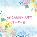 kaiくんleiちゃん専用オーダー品