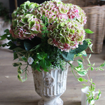 秋色あじさいのギャザリング寄せ植え