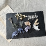 ドライフラワーのヘッドアクセ、髪飾り(36)成人式　卒業式　ウェディング